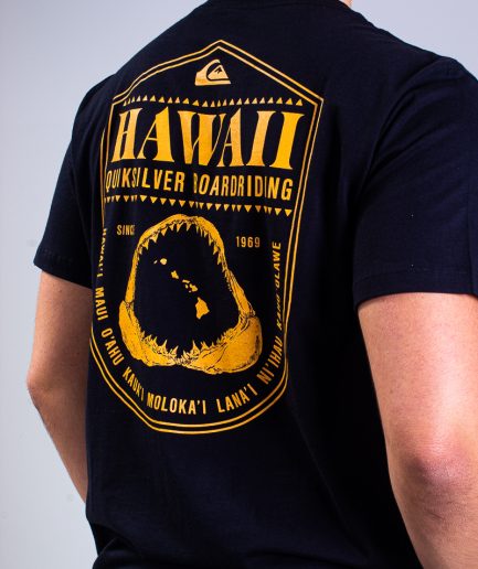 Camiseta Masculina Quiksilver